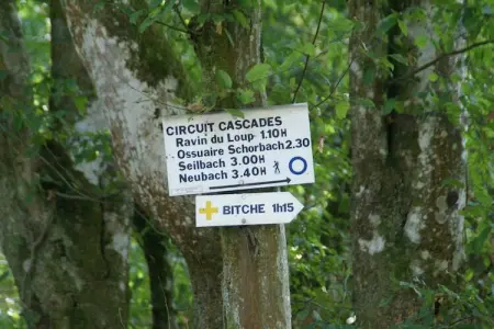 La Schwingmuhle, Grande maison de vacances avec jardin à Hanviller proche lac - Photo 26