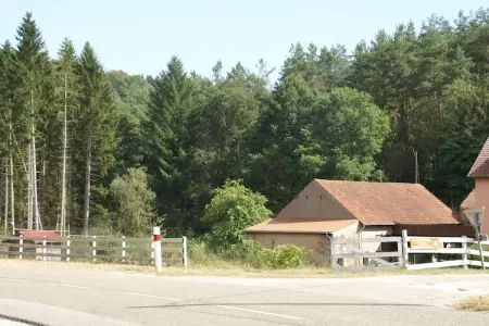 La Schwingmuhle, Grande maison de vacances avec jardin à Hanviller proche lac - Photo 28