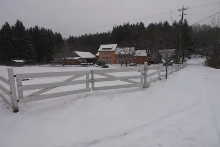 La Schwingmuhle, Grande maison de vacances avec jardin à Hanviller proche lac - Photo 35
