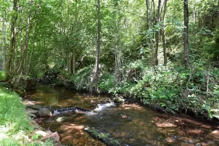 Chalet - TURQUESTEIN, Chalet confortable avec rivière à Turquestein-Blancrupt - Photo 19
