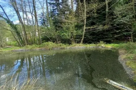 Chalet - TURQUESTEIN, Chalet confortable avec rivière à Turquestein-Blancrupt - Photo 28
