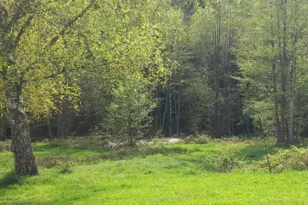 Chalet - TURQUESTEIN, Chalet confortable avec rivière à Turquestein-Blancrupt - Photo 30