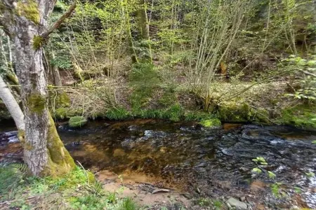 Chalet - TURQUESTEIN, Chalet confortable avec rivière à Turquestein-Blancrupt - Photo 31