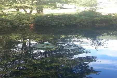 Chalet - TURQUESTEIN, Chalet confortable avec rivière à Turquestein-Blancrupt - Photo 33