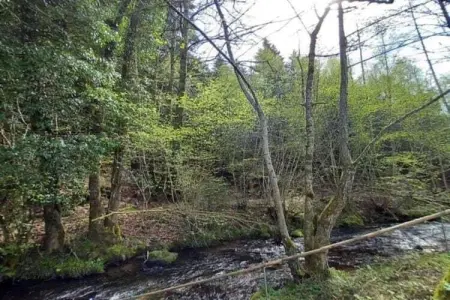 Chalet - TURQUESTEIN, Chalet confortable avec rivière à Turquestein-Blancrupt - Photo 34