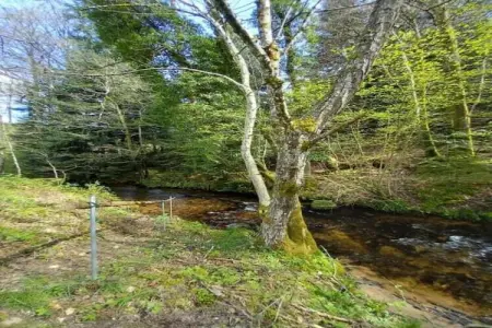 Chalet - TURQUESTEIN, Chalet confortable avec rivière à Turquestein-Blancrupt - Photo 35