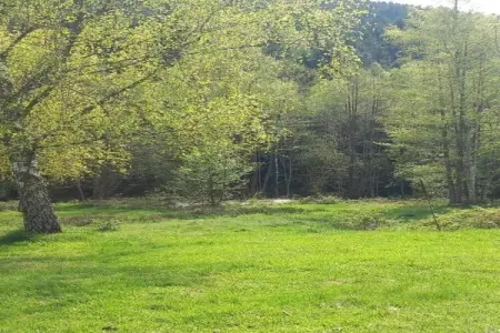 Chalet - TURQUESTEIN, Chalet confortable avec rivière à Turquestein-Blancrupt - Photo 36