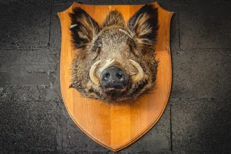 Gîte du Crâ, Chalet confortable avec jardin privé situé à Saint-Quirin - Photo 33