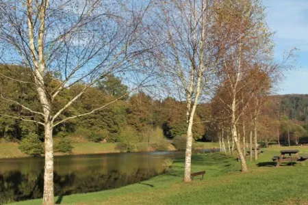 Gîte du Crâ, Chalet confortable avec jardin privé situé à Saint-Quirin - Photo 34
