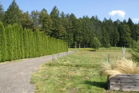Gîte du Crâ, Chalet confortable avec jardin privé situé à Saint-Quirin - Photo 35