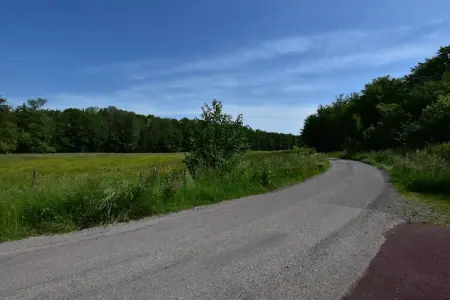NOISETTE - beneden, Elegant pied à terre en Lorraine, 20min du Parc Naturel des Vosges - Photo 30