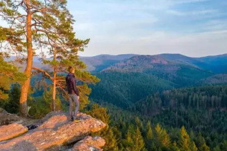 Chalet - LA HOUBE DABO, Magnifique gîte à Dabo avec terrasse - Photo 23
