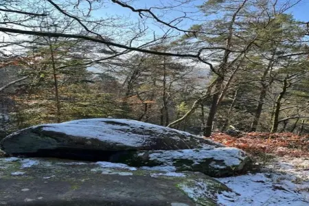 Chalet - LA HOUBE DABO, Magnifique gîte à Dabo avec terrasse - Photo 30