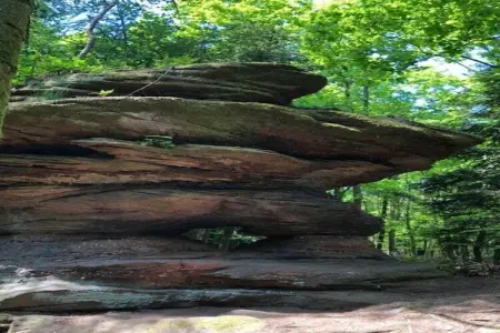 Chalet - LA HOUBE DABO, Magnifique gîte à Dabo avec terrasse - Photo 31