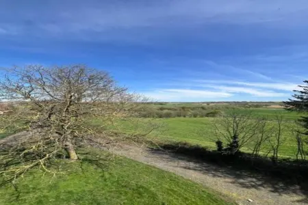 Chalet - LA HOUBE DABO, Magnifique gîte à Dabo avec terrasse - Photo 32