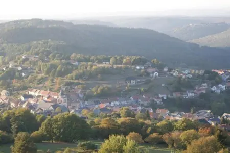 Chalet - LA HOUBE DABO, Magnifique gîte à Dabo avec terrasse - Photo 33
