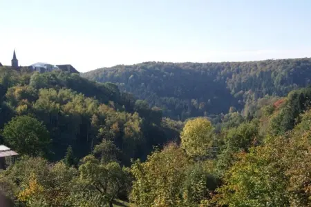 Chalet - LA HOUBE DABO, Magnifique gîte à Dabo avec terrasse - Photo 35