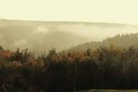 Chalet - LA HOUBE DABO, Magnifique gîte à Dabo avec terrasse - Photo 36