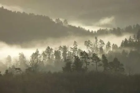 Chalet - HOMMERT, Chalet confortable avec superbes vues à Hommert - Photo 36