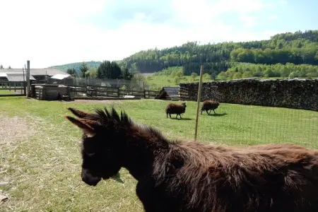 Mon Repos, Maison de vacances cosy avec jardin à Walscheid, Lorraine - Photo 36