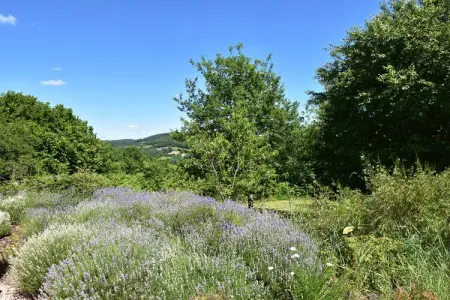 Vue de Pannecière, Ravissante maison de vacances à Chaumard avec piscine privée - Photo 36
