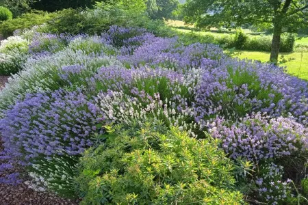 Vue de Pannecière, Ravissante maison de vacances à Chaumard avec piscine privée - Photo 62
