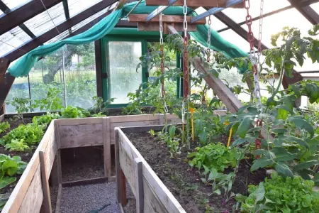 Maison de vacances Vignol, Maison de vacances paisible à Vignol avec piscine chauffée - Photo 23