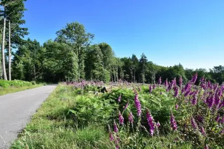 Maison de vacances Vignol, Maison de vacances paisible à Vignol avec piscine chauffée - Photo 31