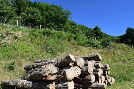 Maison de vacances Vignol, Maison de vacances paisible à Vignol avec piscine chauffée - Photo 32