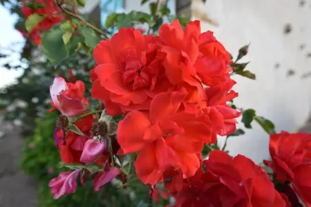 Maison de vacances Vignol, Maison de vacances paisible à Vignol avec piscine chauffée - Photo 38