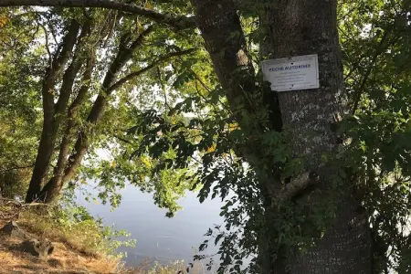 Villa Piscine Bourgogne 10 pers, Magnifique demeure avec piscine en Bourgogne - Photo 36