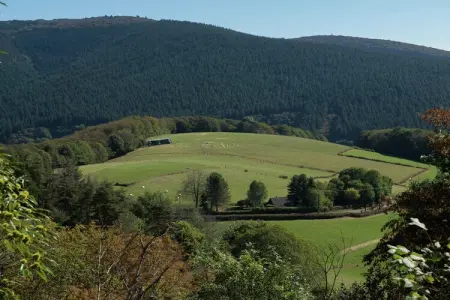 Gîte St Honoré les Bains, Maison unique, adaptée aux enfants, à Saint-Honoré-les-Bains - Photo 20