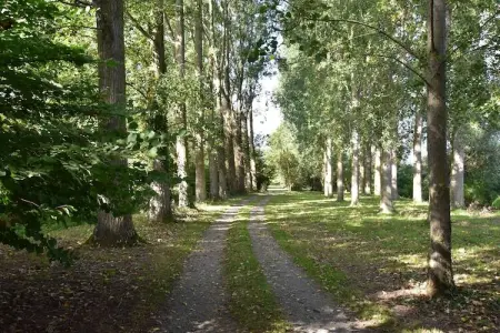 Domaine Les Ziettes, Belle maison de vacances avec sauna et jacuzzi à Saint-Omer - Photo 28