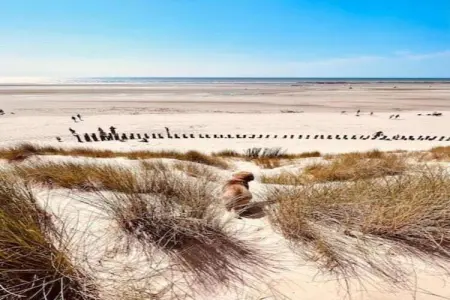 Berck sur Mer 2, Maison de vacances spacieuse avec jardin, à 800 m de la mer - Photo 35