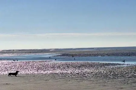 Berck sur Mer 2, Maison de vacances spacieuse avec jardin, à 800 m de la mer - Photo 37