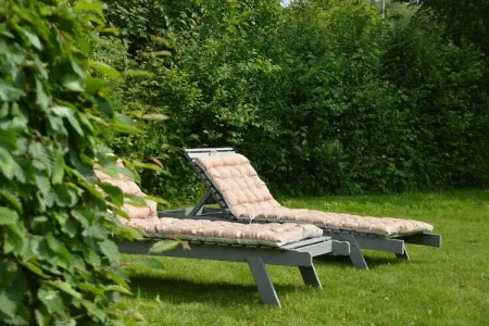 Londefort, Gîte rural entouré d'arbres fruitiers à Wierre-Effroy - Photo 23