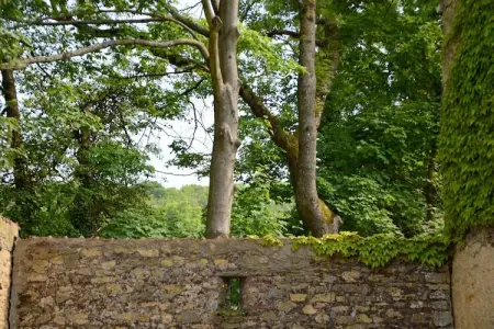 Londefort, Gîte rural entouré d'arbres fruitiers à Wierre-Effroy - Photo 24