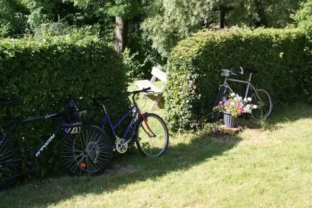 Londefort, Gîte rural entouré d'arbres fruitiers à Wierre-Effroy - Photo 29