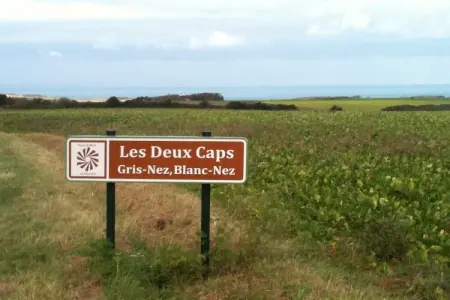 Londefort, Gîte rural entouré d'arbres fruitiers à Wierre-Effroy - Photo 34