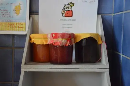 Londefort, Gîte rural entouré d'arbres fruitiers à Wierre-Effroy - Photo 36