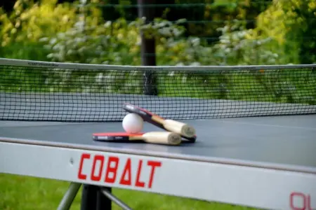 Sainte Godeleine, Maison de vacances avec jardin privé à Wierre-Effroy - Photo 27