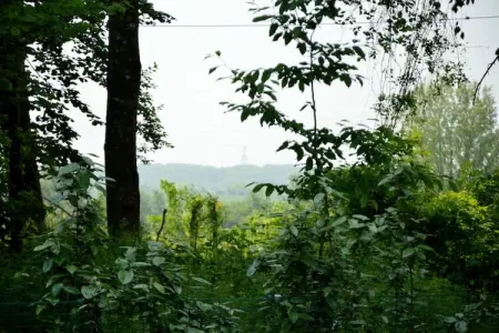Sainte Godeleine, Maison de vacances avec jardin privé à Wierre-Effroy - Photo 29