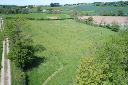 Sainte Godeleine, Maison de vacances avec jardin privé à Wierre-Effroy - Photo 30