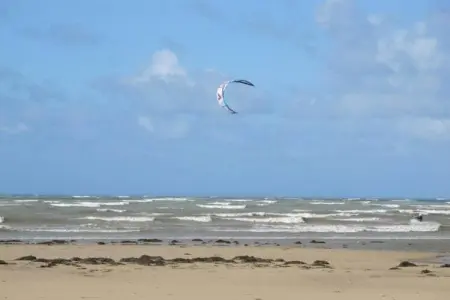 Sainte Godeleine, Maison de vacances avec jardin privé à Wierre-Effroy - Photo 33