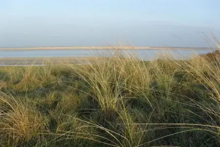 Sainte Godeleine, Maison de vacances avec jardin privé à Wierre-Effroy - Photo 35