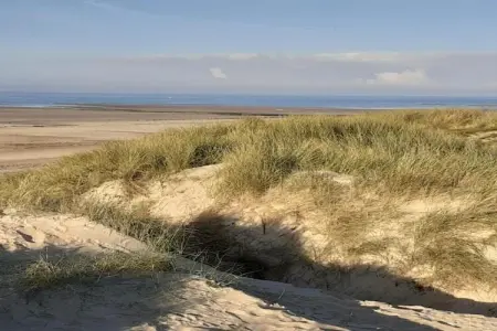 Sainte Godeleine, Maison de vacances avec jardin privé à Wierre-Effroy - Photo 36