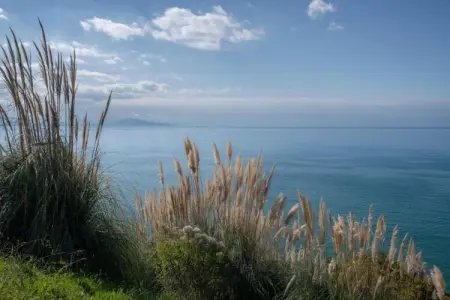 Résidence L’Orée de Milady 1, Belle villa avec terrasse à Biarritz, la capitale du surf - Photo 21
