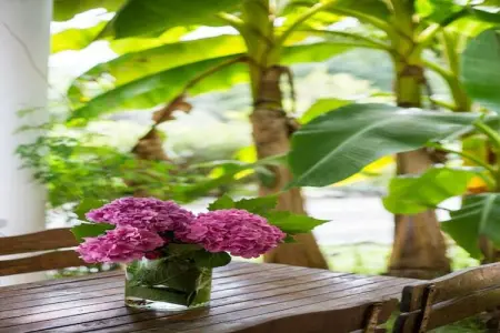 Les Collines Iduki 2, Maison de vacances de style basque dans un cadre verdoyant - Photo 13