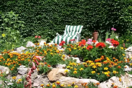 Casa Metternich, Gite pittoresque et agréable dans une nature splendide et préservée. - Photo 17