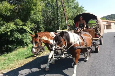 Casa Metternich, Gite pittoresque et agréable dans une nature splendide et préservée. - Photo 21